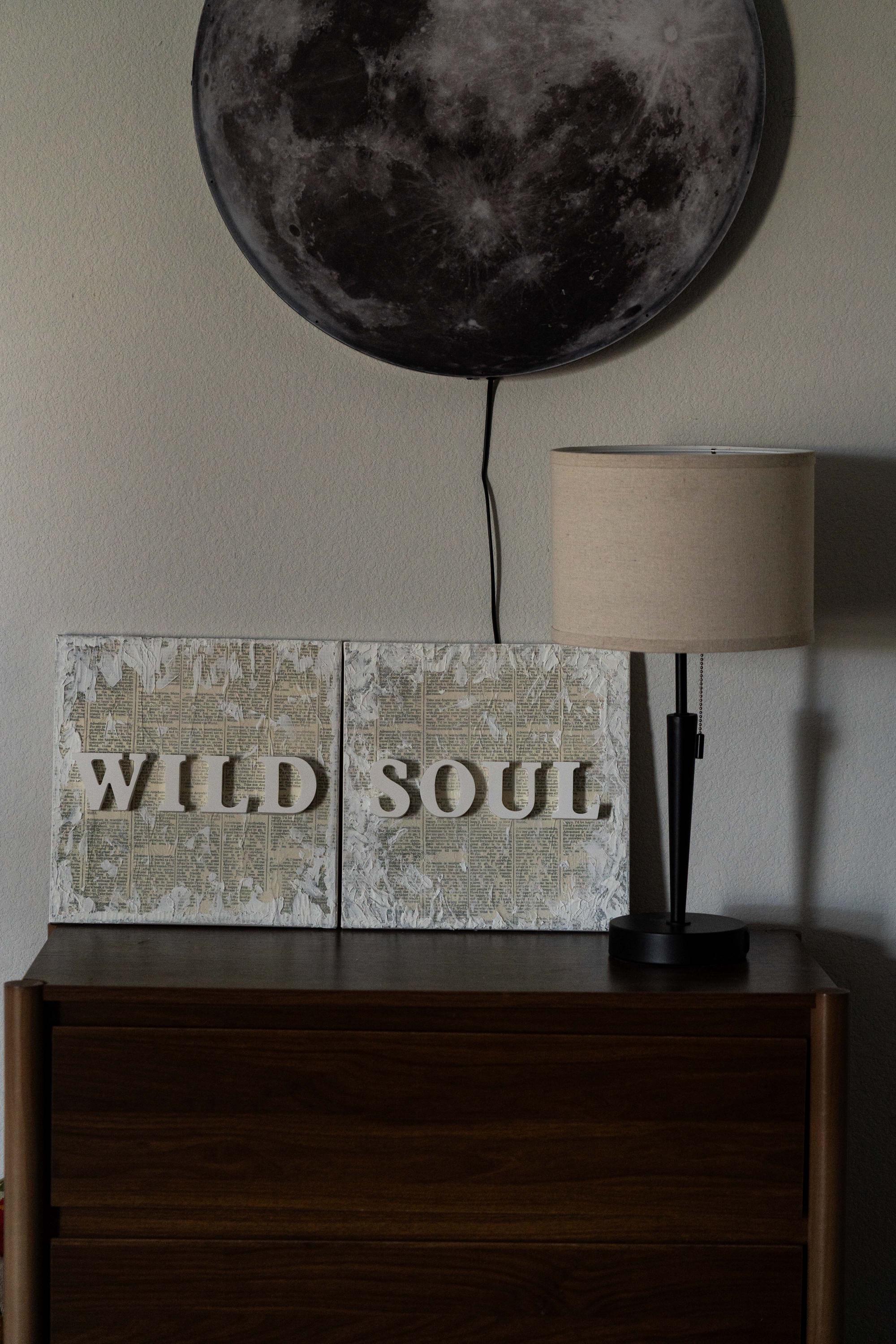 WILD SOUL - Diptych - Textured Gypsum Art Set of 2