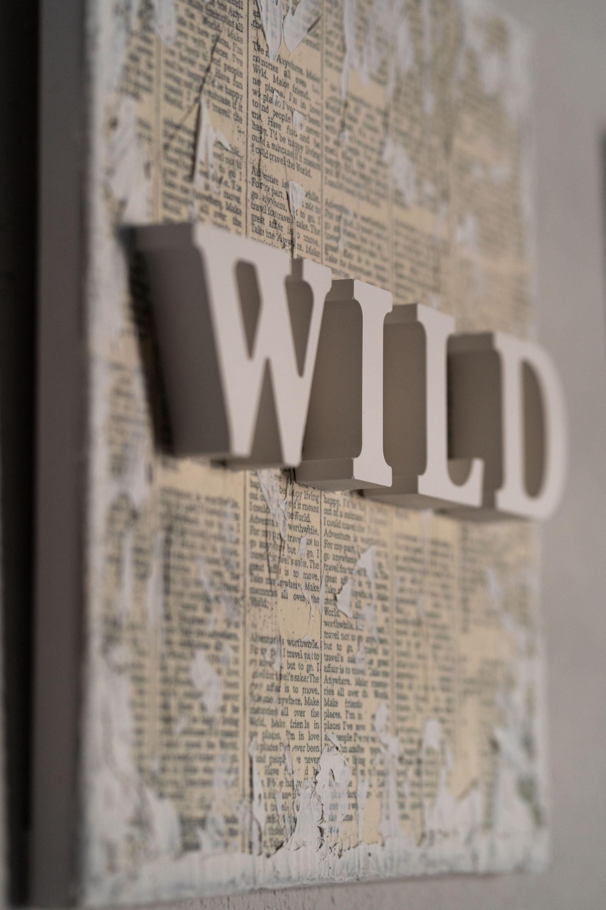 WILD SOUL - Diptych - Textured Gypsum Art Set of 2