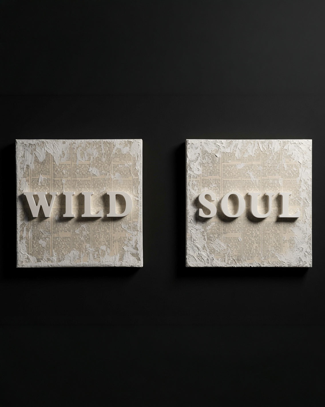 WILD SOUL - Diptych - Textured Gypsum Art Set of 2