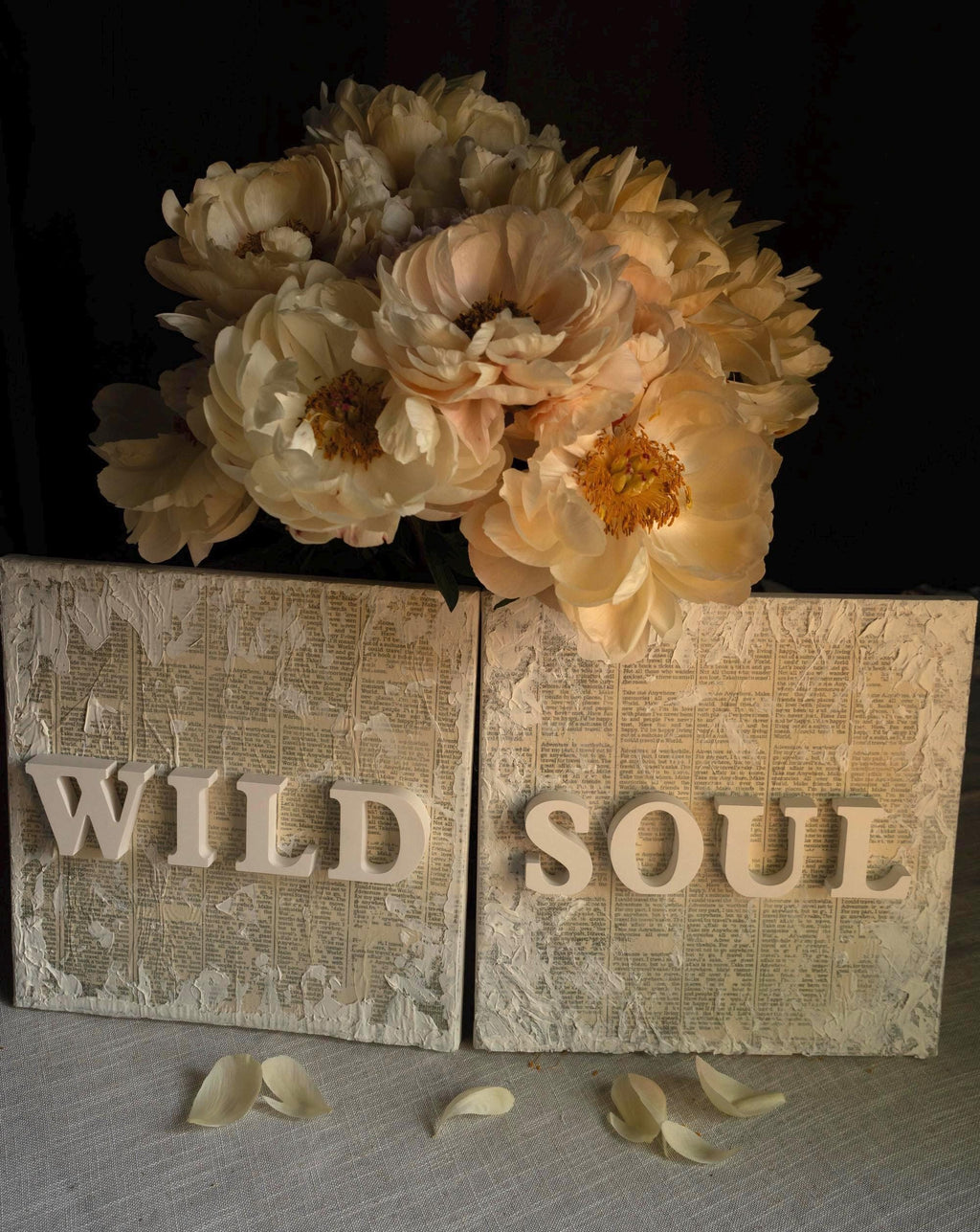 WILD SOUL - Diptych - Textured Gypsum Art Set of 2