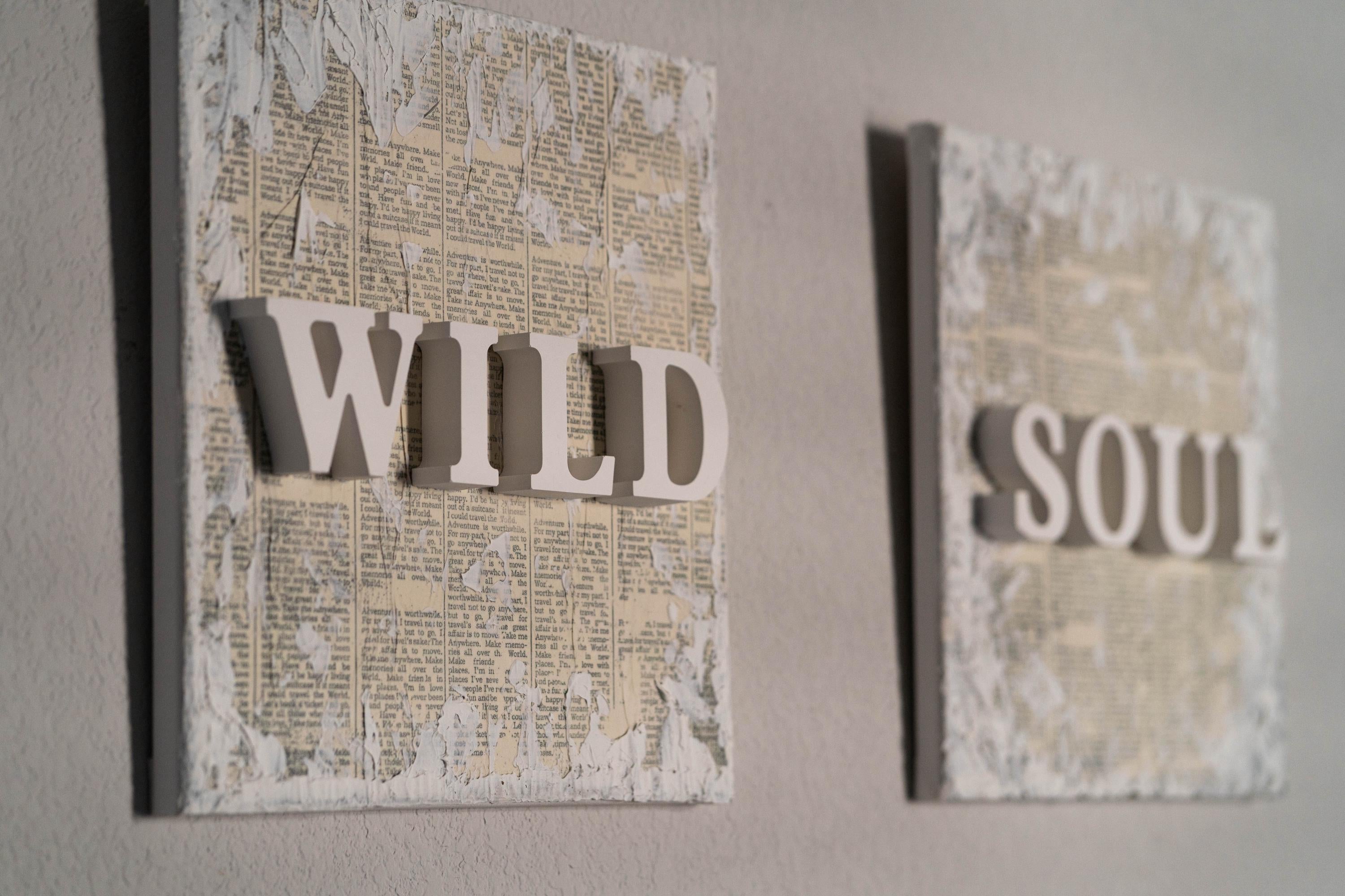 WILD SOUL - Diptych - Textured Gypsum Art Set of 2